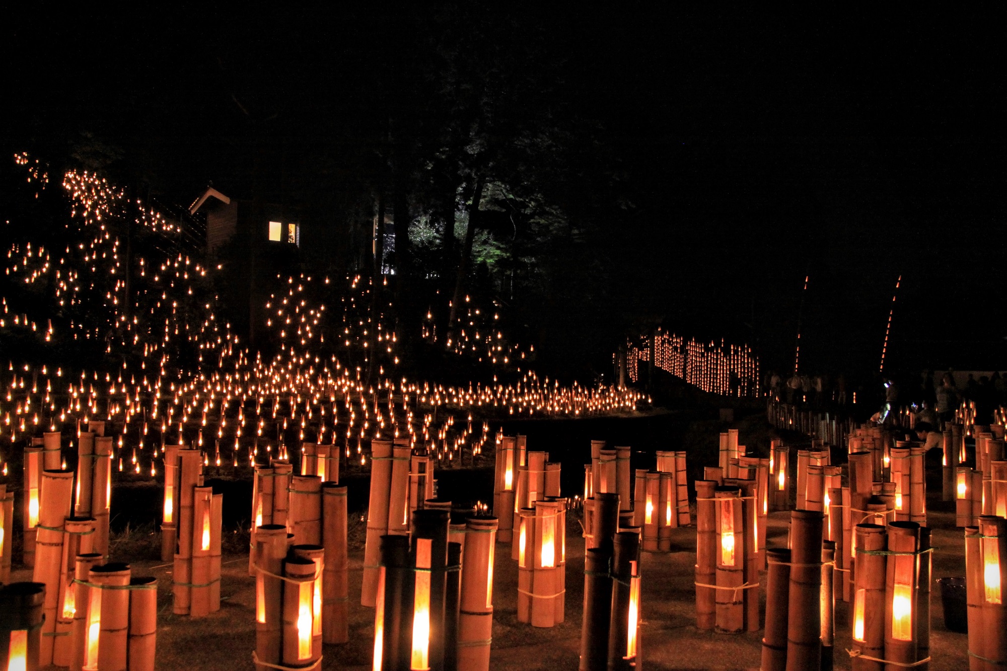 長田の集落に竹燈籠を並べ、一万本の光が集落をやさしく包みます