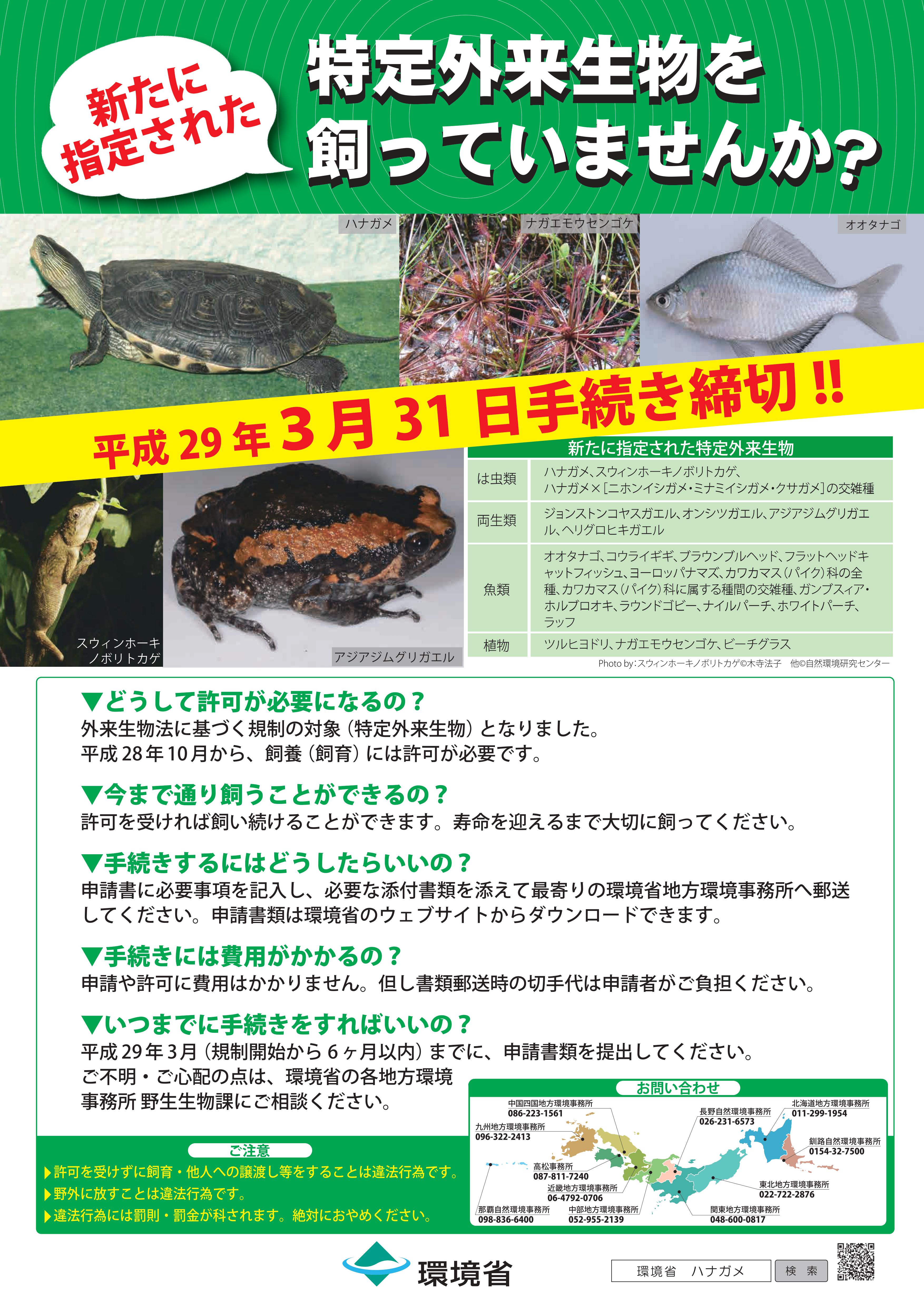 外来 生物 特定