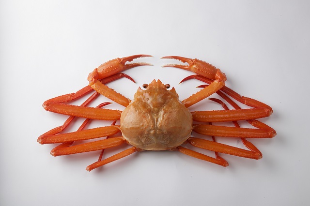 紅ズワイガニの写真