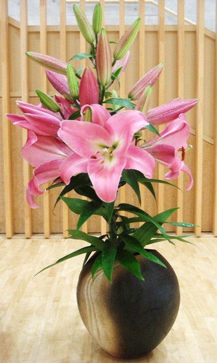 ７月７日