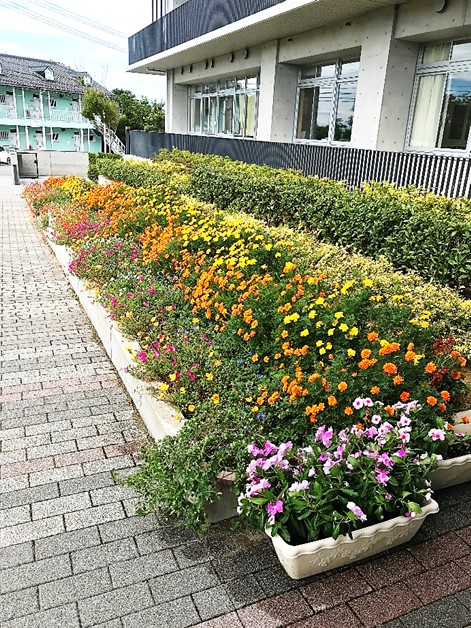 9月7日2