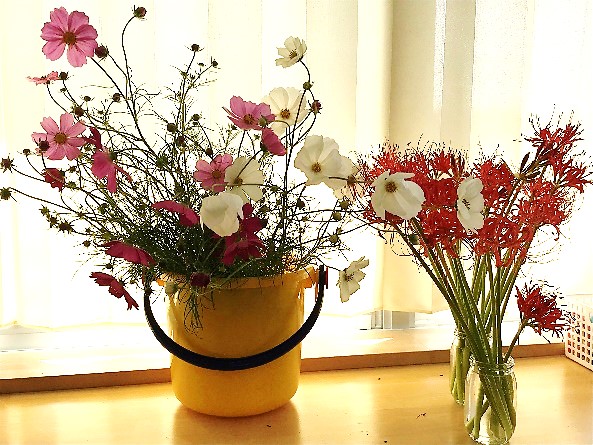 10月1日1