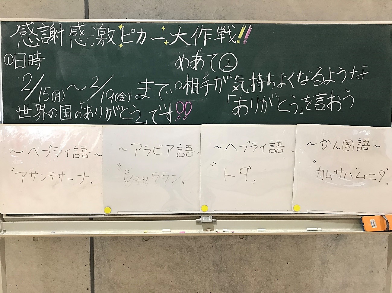 2月19日