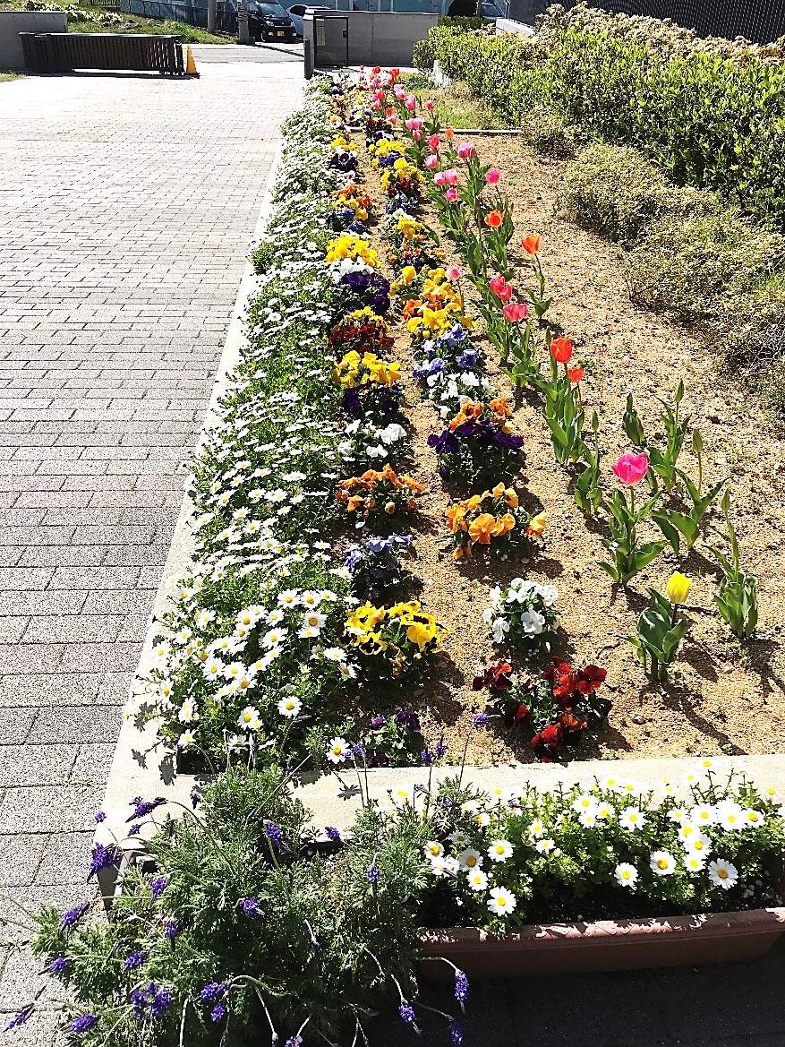 4月7日2