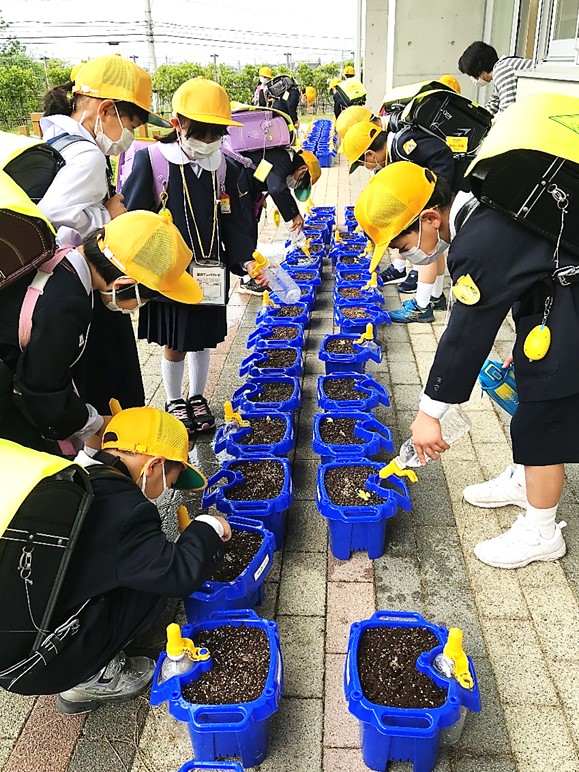 5月25日
