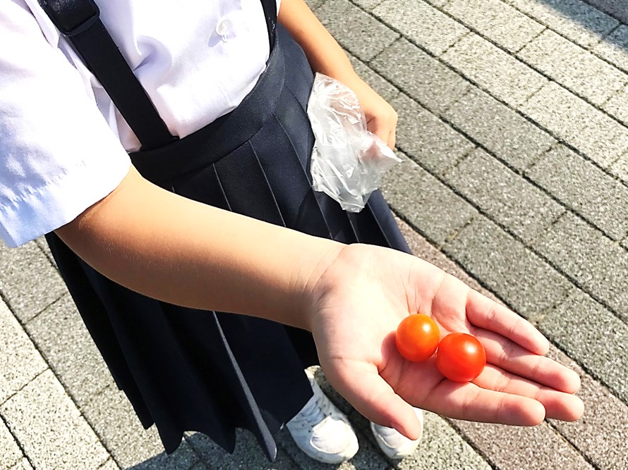 7月20日