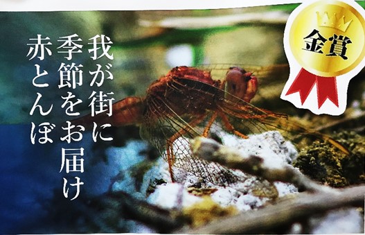 11月12日