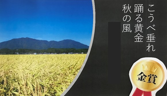 11月12日