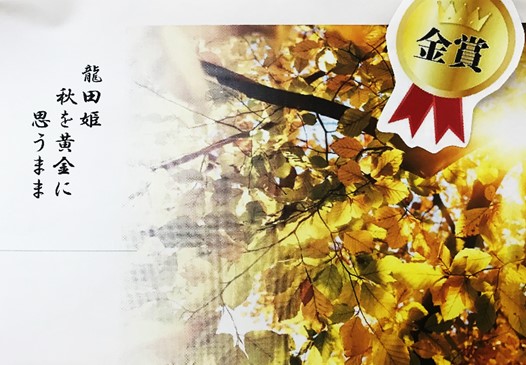 11月12日