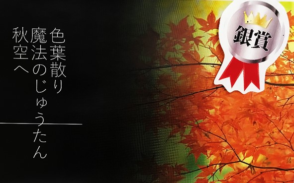 11月12日