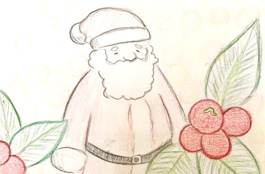 12月13日