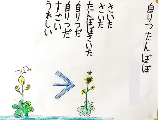 1月28日