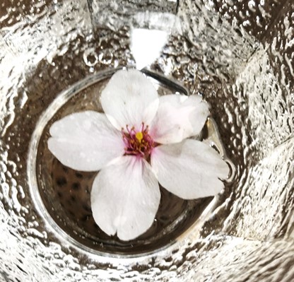 4月13日