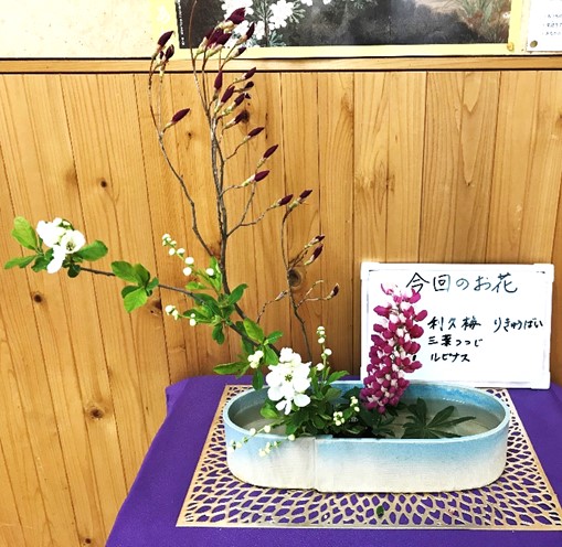 4月19日