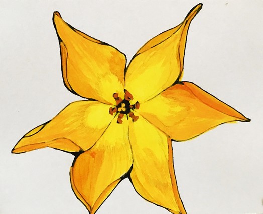 5月17日