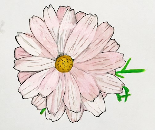 5月17日
