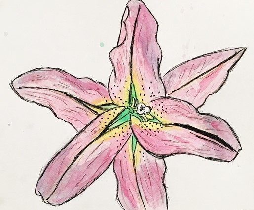 5月17日