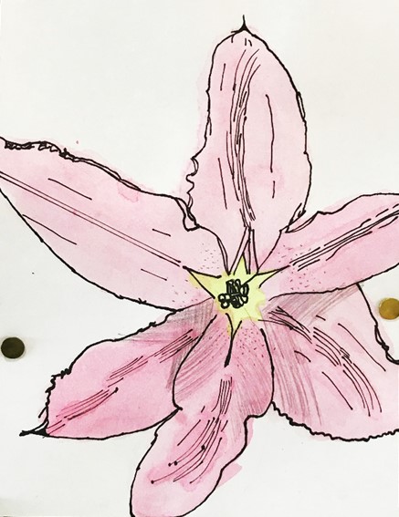 5月17日