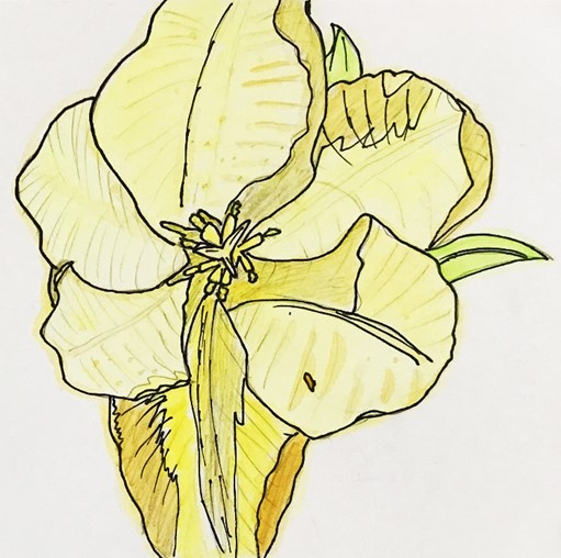5月17日