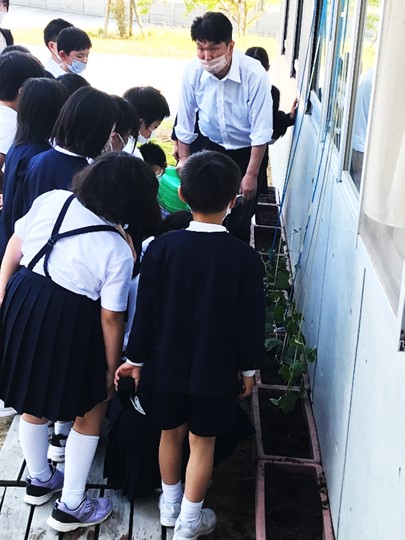 5月26日