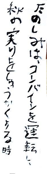 7月15日