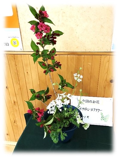 7月21日