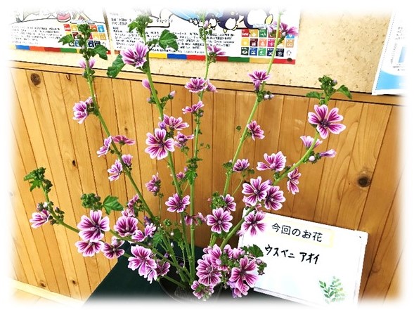 7月21日