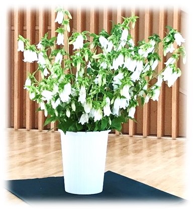 7月25日
