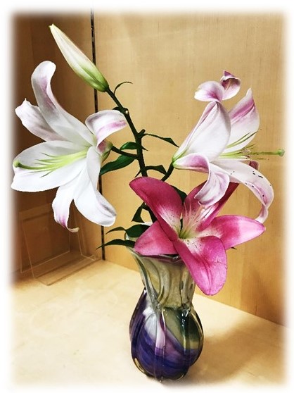 7月25日