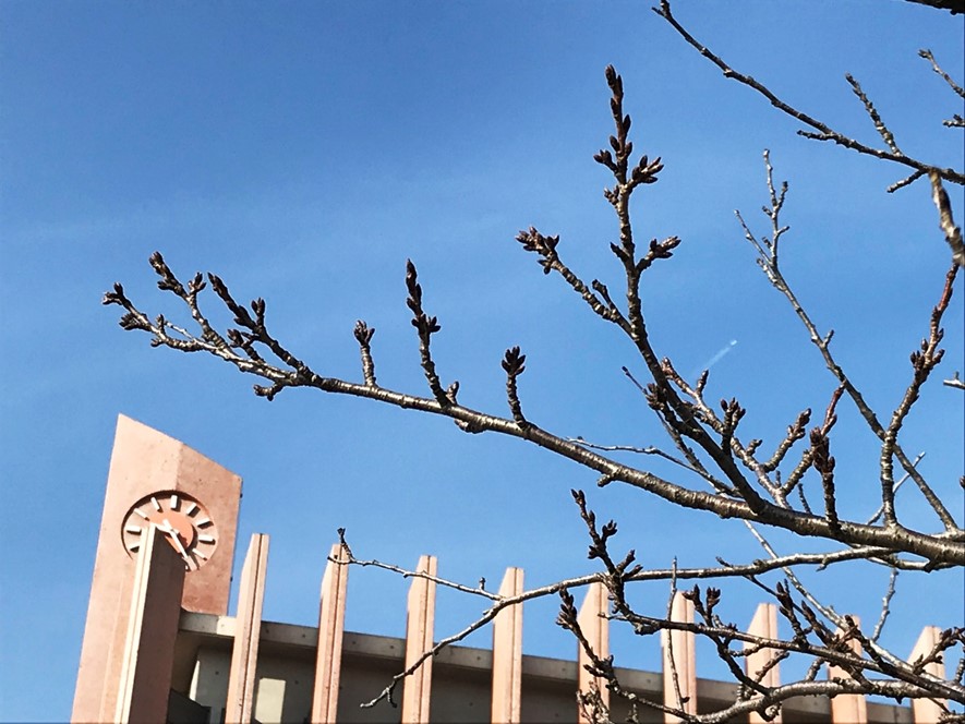 2月7日