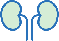 泌尿器科のアイコン