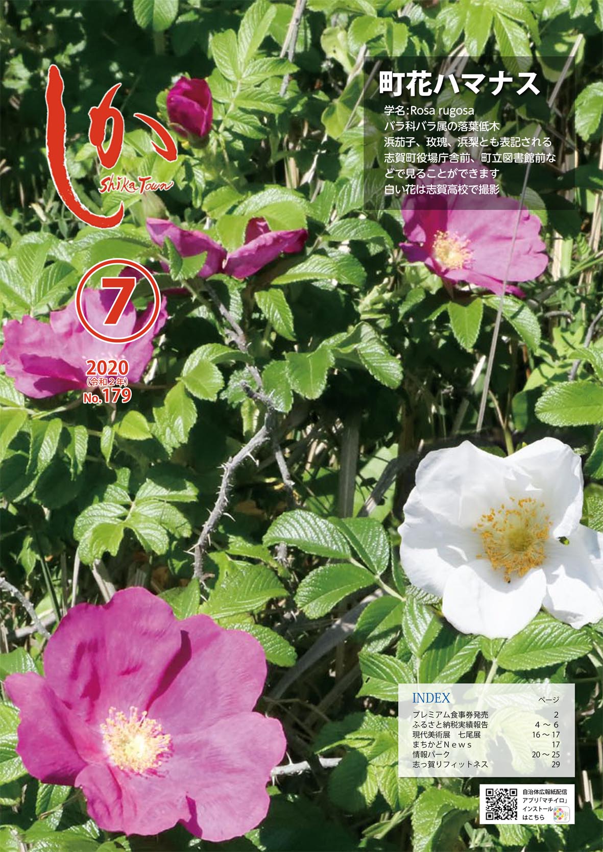 広報しか7月号表紙