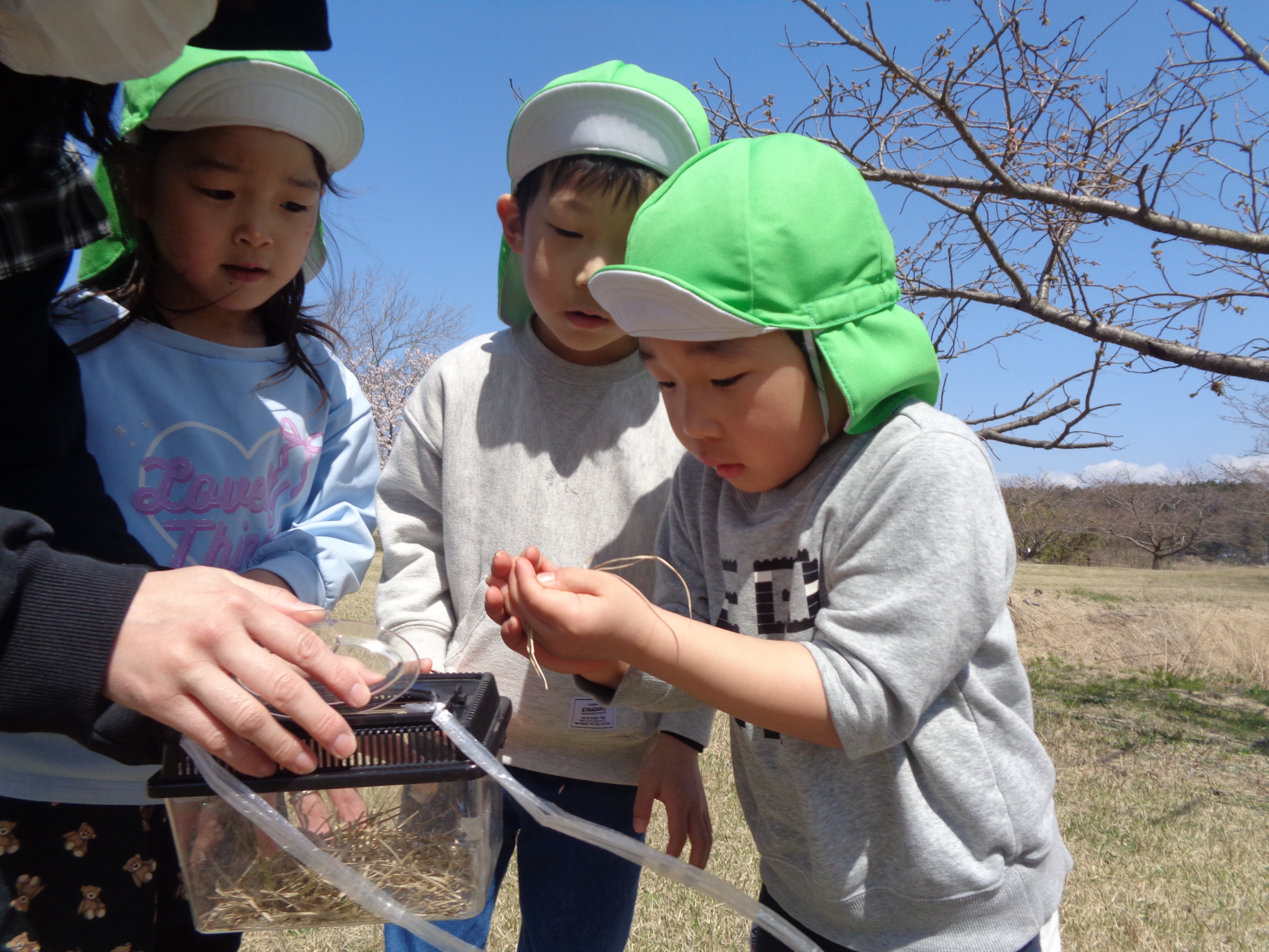 お花見散歩の画像2