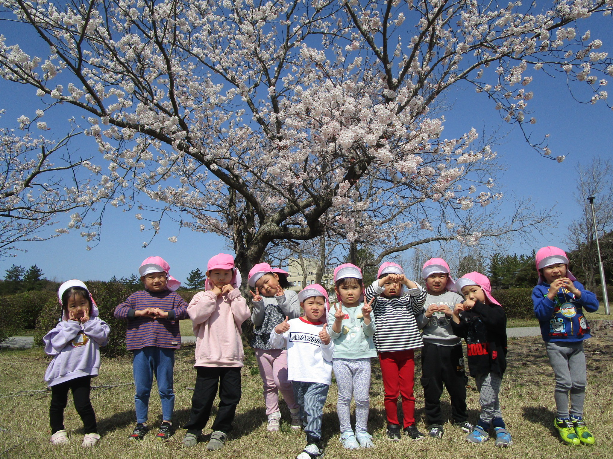 お花見散歩の画像3