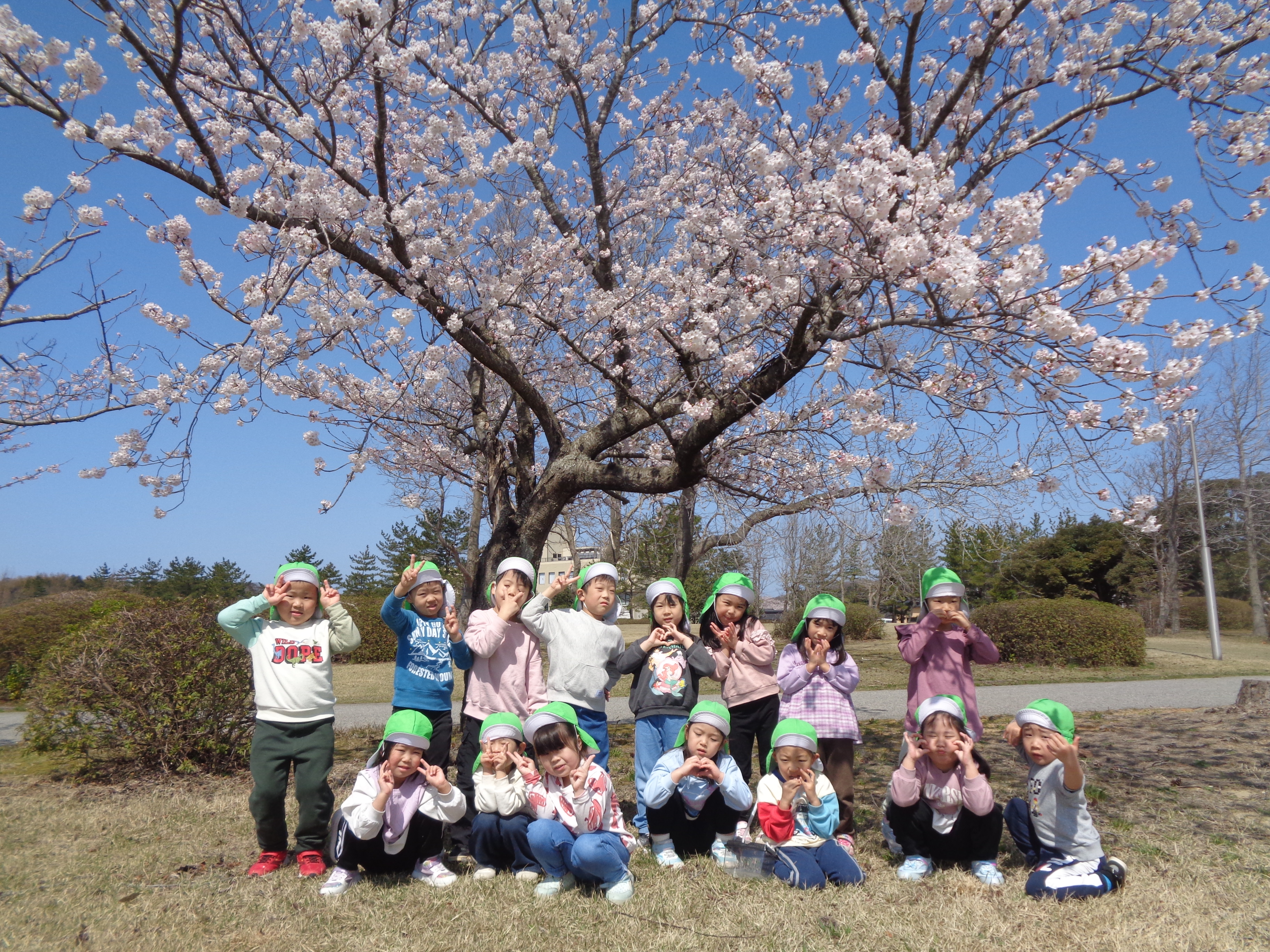 お花見散歩の画像4