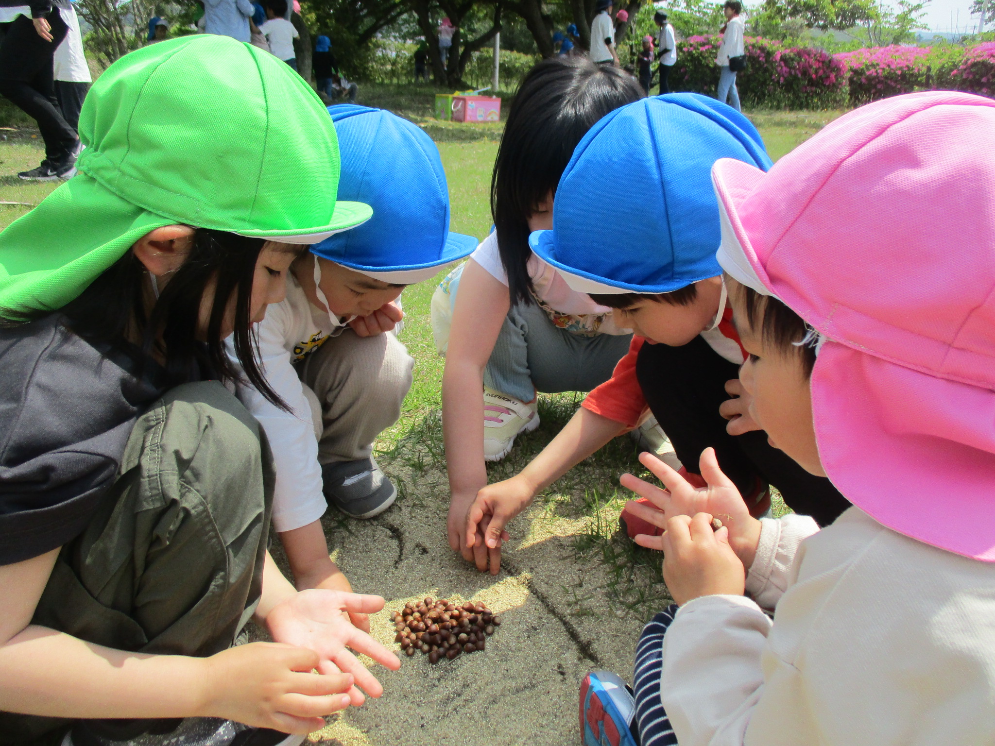 春の遠足の画像1