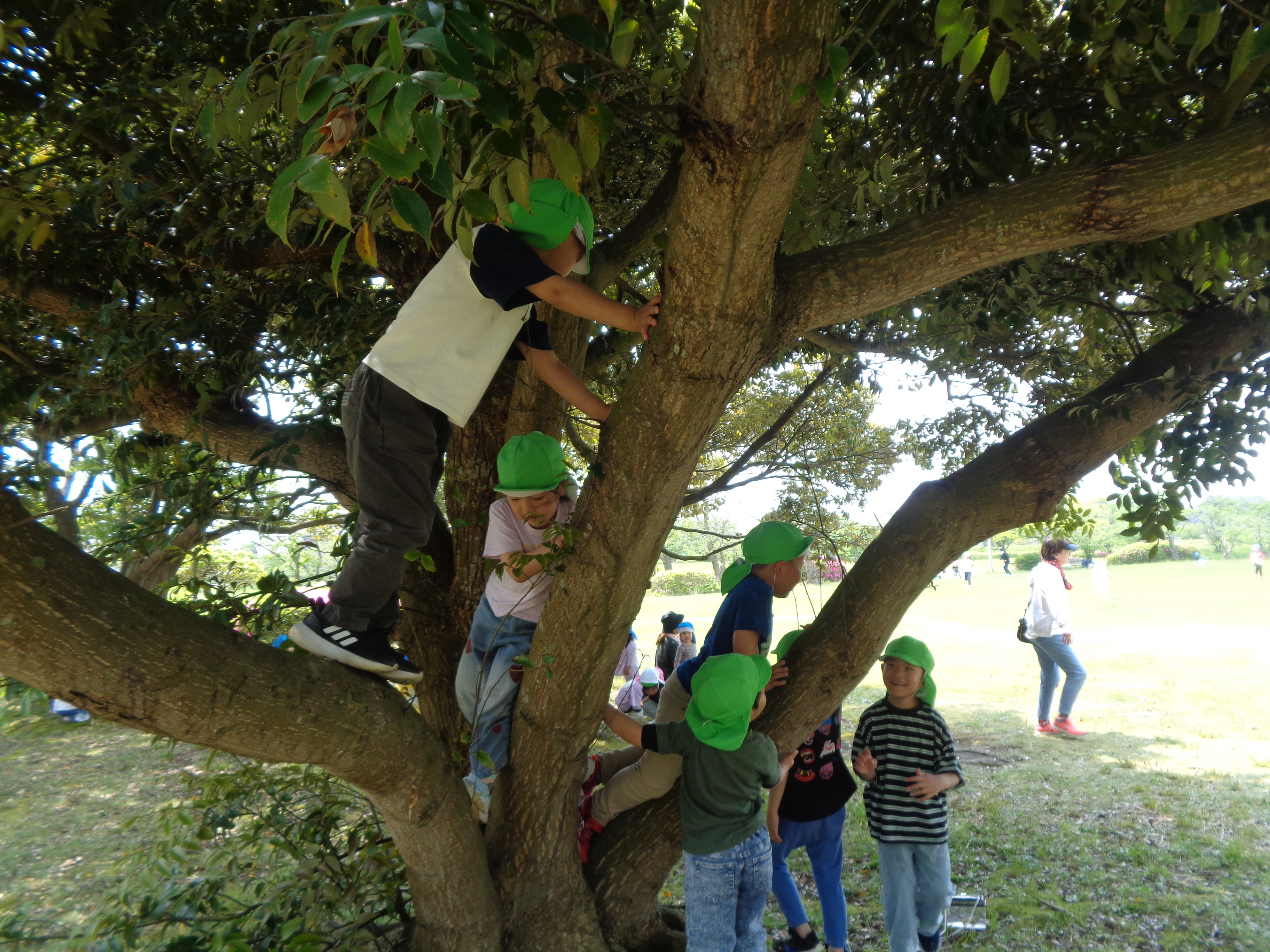 春の遠足の画像2