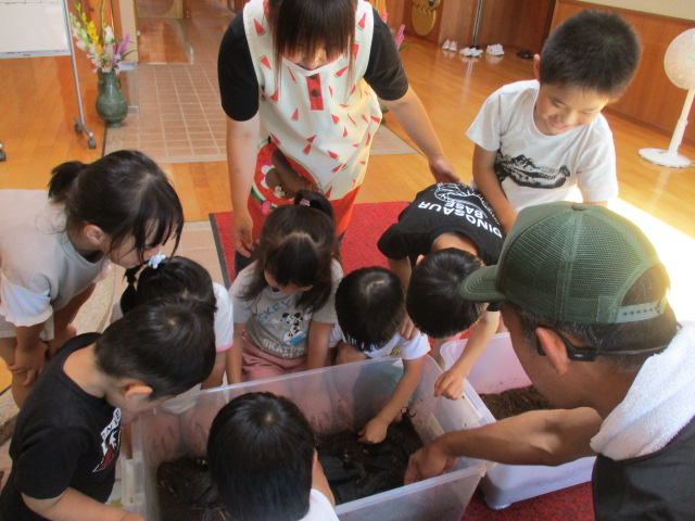 カブトムシかっこいい！（とぎ保育園）の画像1