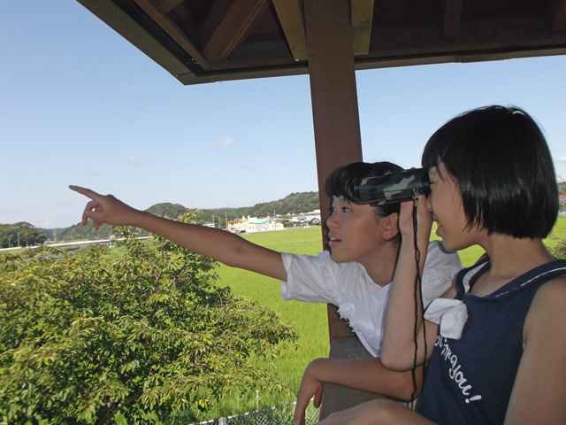 展望台よりの画像