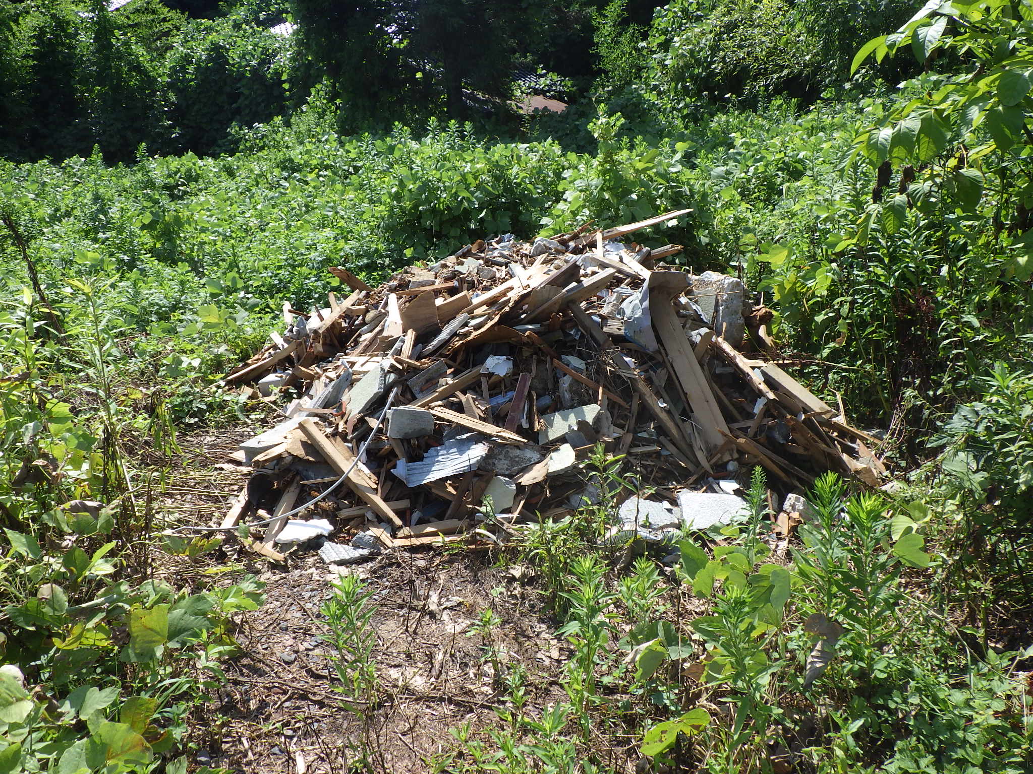 草木地内(2)（令和7年7月）の画像