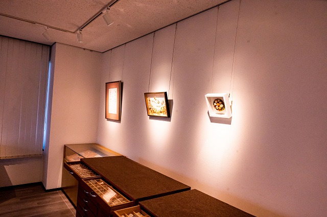 さくら貝資料館の画像3