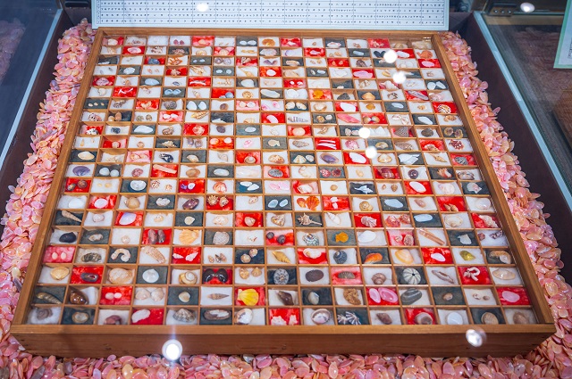 さくら貝資料館の画像6