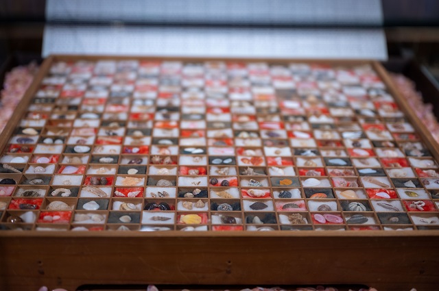 さくら貝資料館の画像7