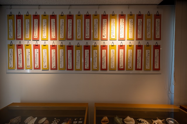 さくら貝資料館の画像9