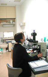 グラム染色の画像