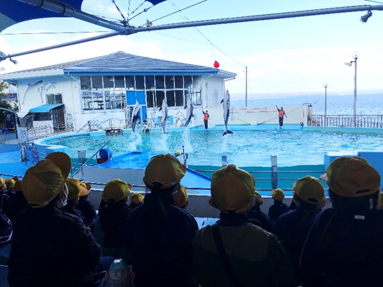 11月19日の画像5