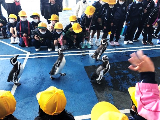 11月19日の画像6