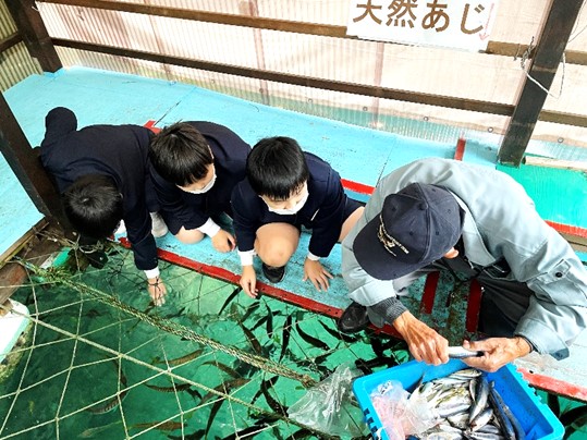 11月19日の画像8