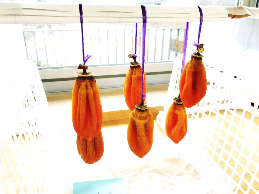 12月08日の画像1