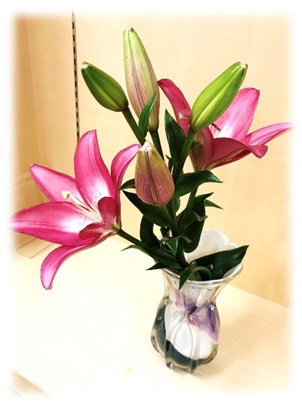 7月25日の画像16